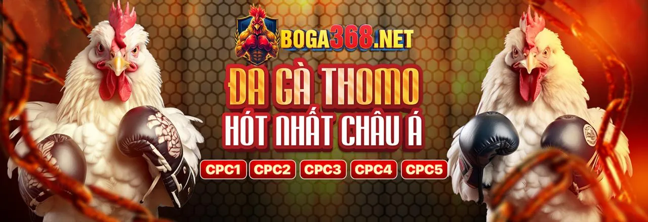 Đá gà trực tuyến sôi động tại xo68 web