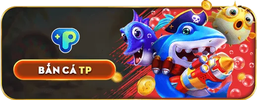 Đặt cược và xem trận đấu