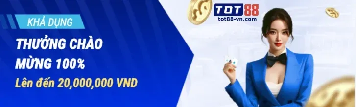 Dịch vụ hỗ trợ ưu tiên VIP